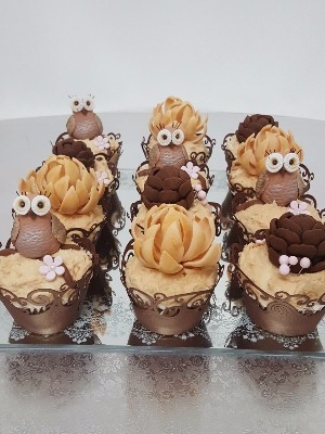 Owl Cupcakes